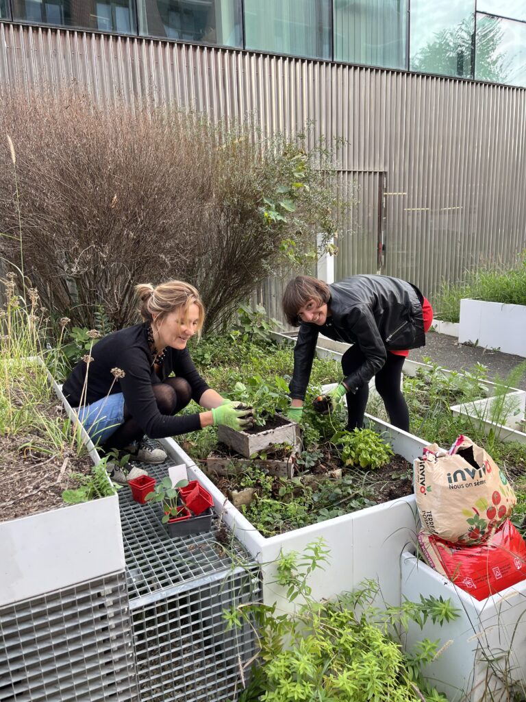 ateliers rse; potagers d'entreprise : écologie