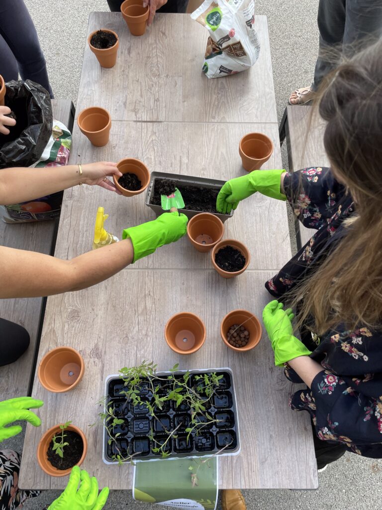 ateliers rse team building; écologie